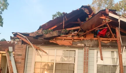 Restoration & Mitigation Services